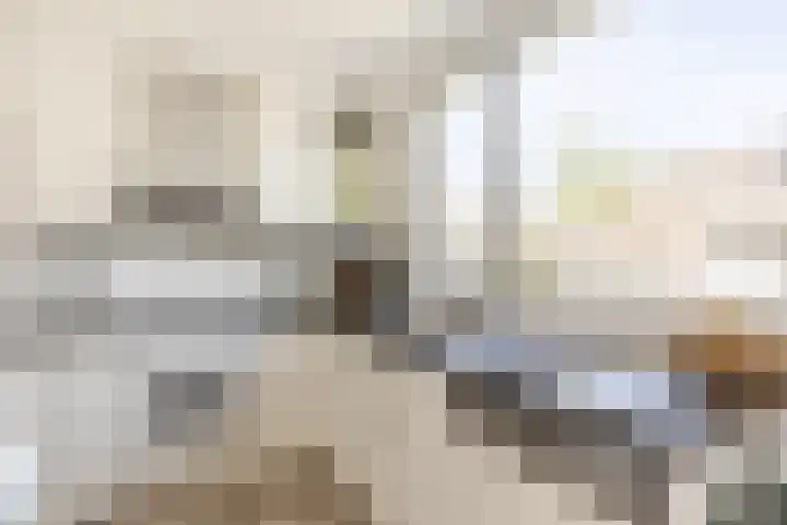 Donauring 227 Drunen thumbnail 6