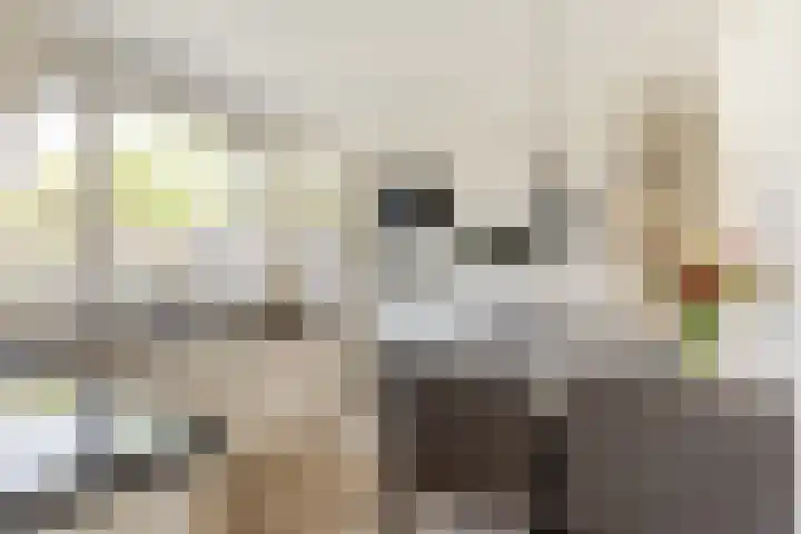 Donauring 227 Drunen thumbnail 7