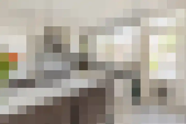Donauring 227 Drunen thumbnail 8