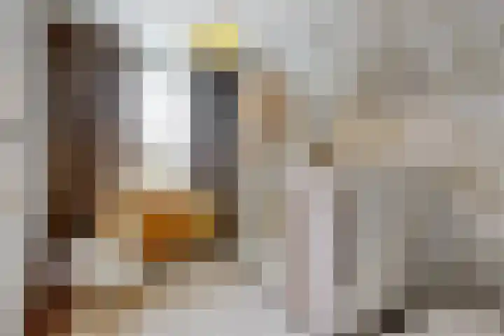 Donauring 59 Veghel thumbnail 18