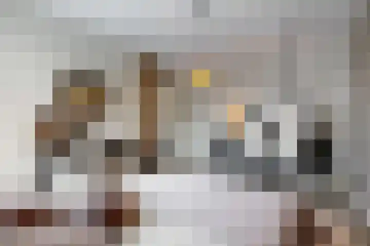 Donauring 59 Veghel thumbnail 22