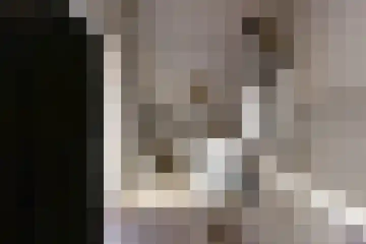 Donauring 59 Veghel thumbnail 27
