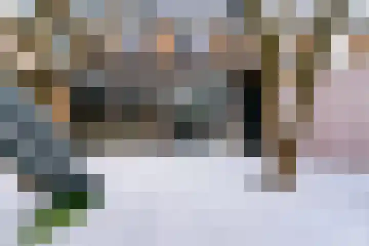 Donauring 59 Veghel thumbnail 35