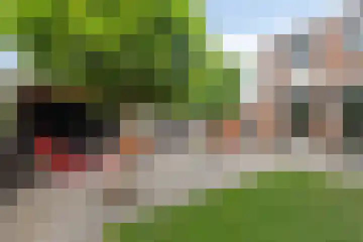 Doncanstraat 11 Purmerend thumbnail 38