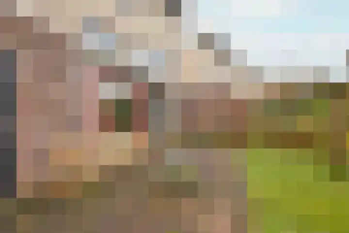 Doncanstraat 35 Purmerend thumbnail 41