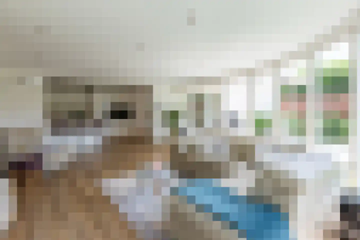 Donderhei 9 Best thumbnail 21