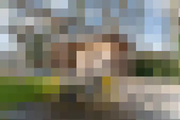 Donderwolk 21 De Meern thumbnail 29