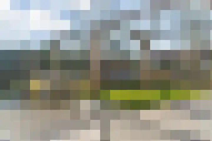 Donderwolk 21 De Meern thumbnail 30