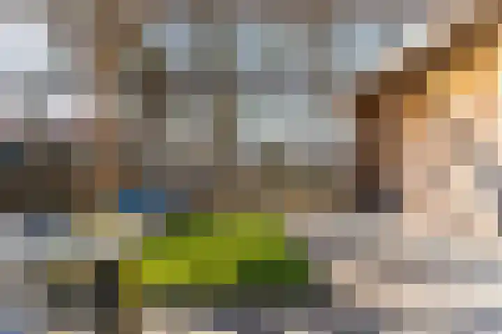 Donderwolk 21 De Meern thumbnail 31