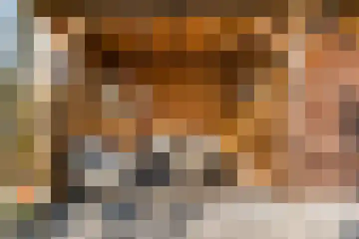 Donderwolk 21 De Meern thumbnail 33