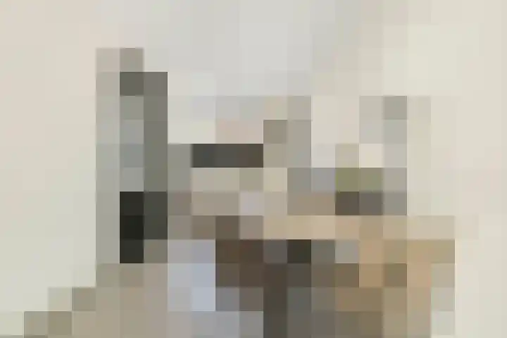 Donge 12 Veldhoven thumbnail 18