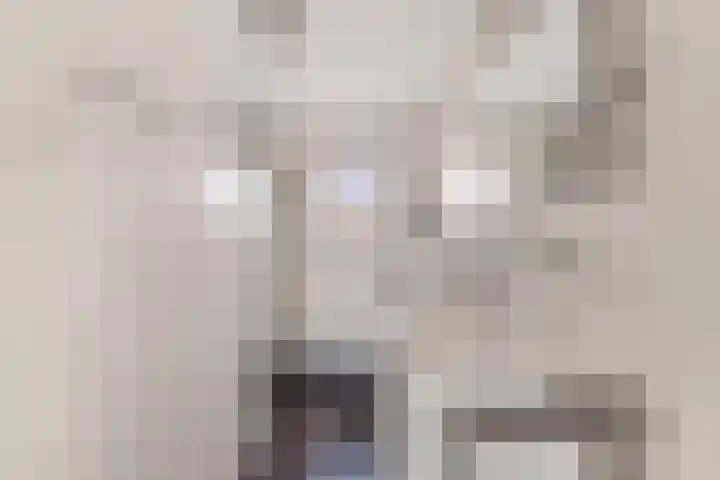 Donge 12 Veldhoven thumbnail 30