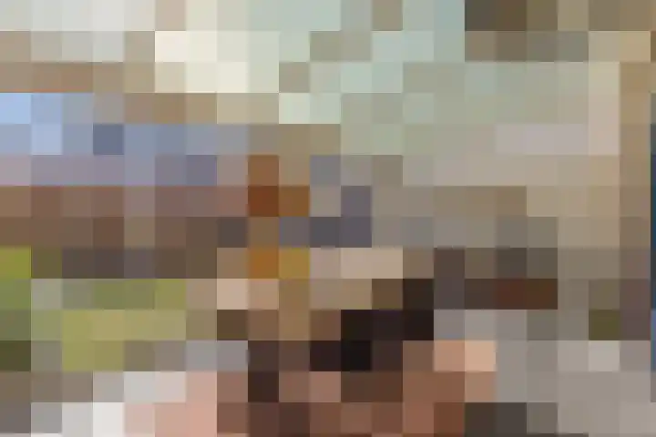Donge 12 Veldhoven thumbnail 41