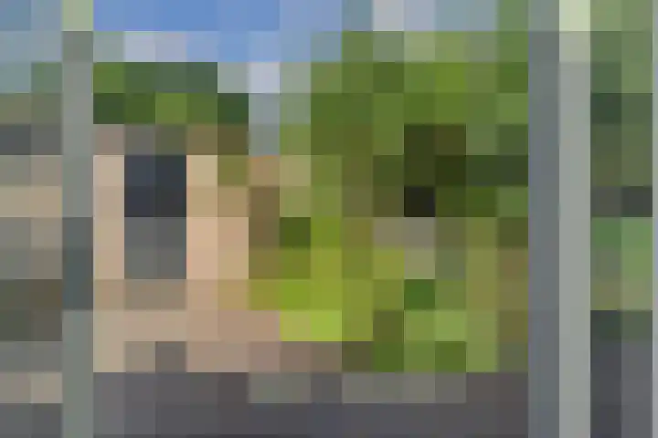Donge 26 Deurne thumbnail 18