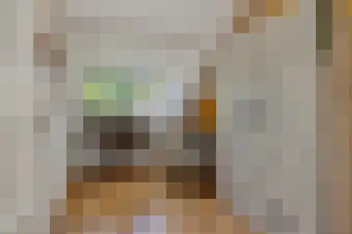Donge 26 Deurne thumbnail 25