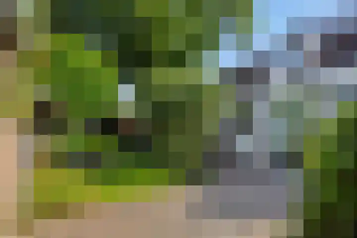 Donge 26 Deurne thumbnail 28