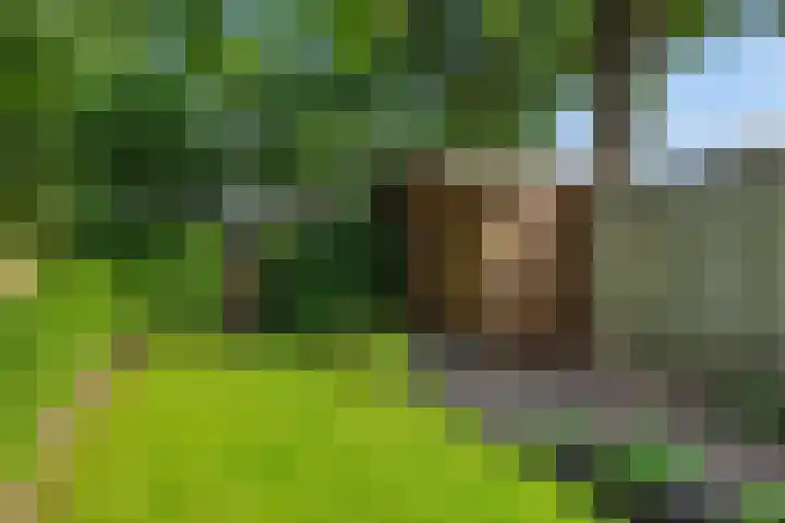 Donge 26 Deurne thumbnail 33