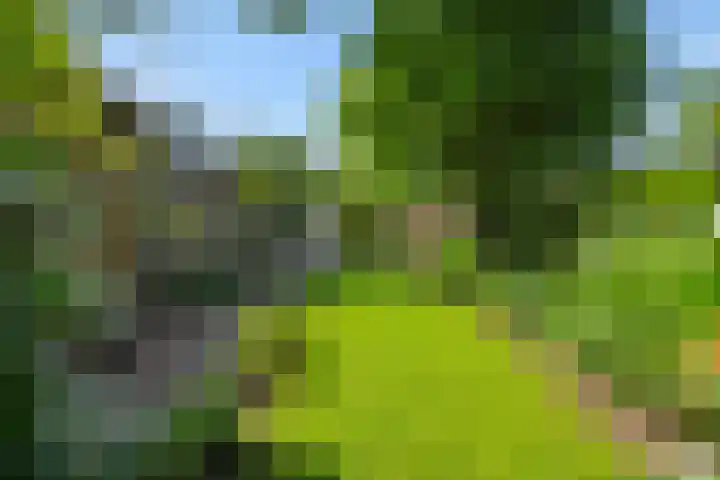 Donge 26 Deurne thumbnail 35