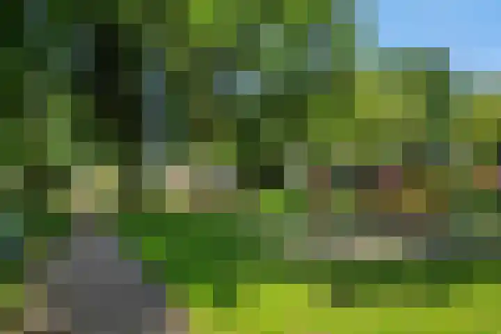 Donge 26 Deurne thumbnail 38