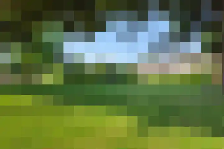 Donge 26 Deurne thumbnail 39