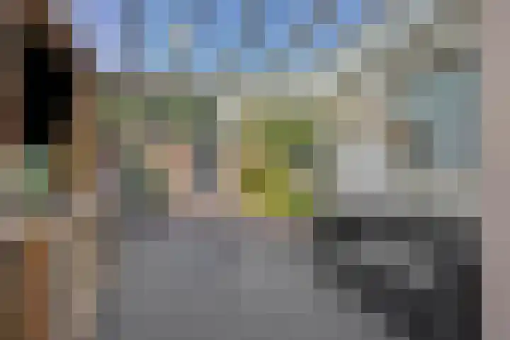 Donge 26 Deurne thumbnail 4