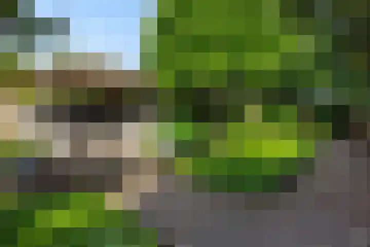 Donge 26 Deurne thumbnail 5