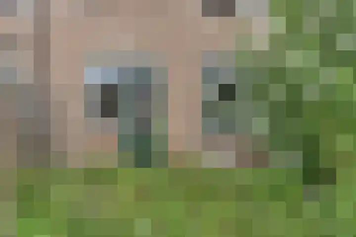 Donge 4 Rotterdam thumbnail 14