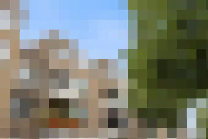 Donge 6 Barendrecht thumbnail 27