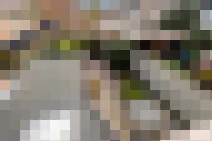 Donge 6 Barendrecht thumbnail 45