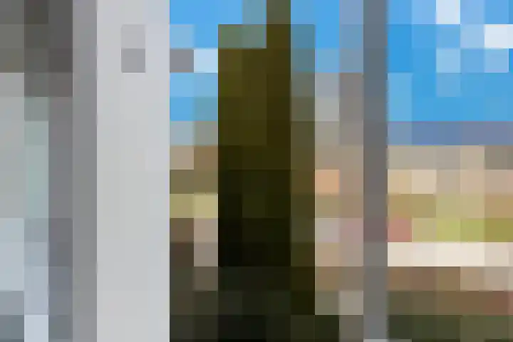 Donge 6 Barendrecht thumbnail 46