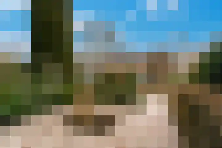 Donge 6 Barendrecht thumbnail 47