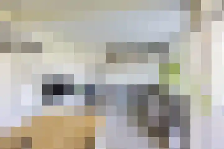 Donge 6 Barendrecht thumbnail 5