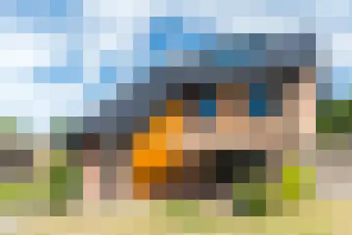 Dongenseweg 23 Rijen thumbnail 27