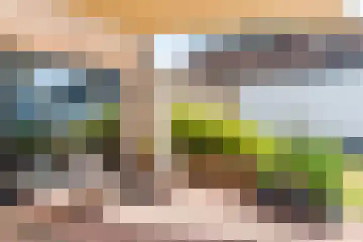 Dongenseweg 23 Rijen thumbnail 28