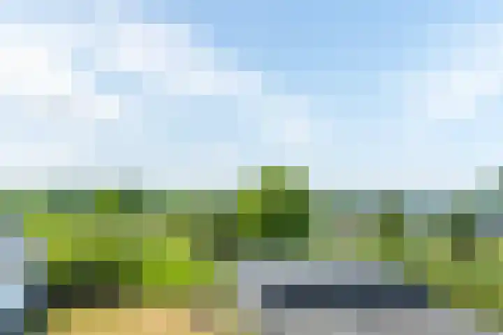 Dongenseweg 23 Rijen thumbnail 29
