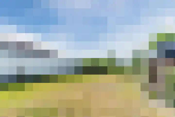 Dongenseweg 23 Rijen thumbnail 31