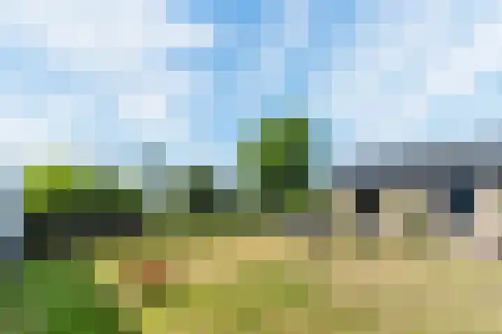 Dongenseweg 23 Rijen thumbnail 33