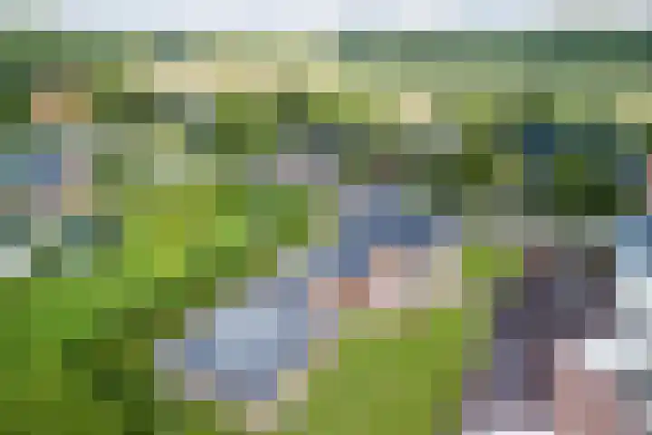 Dongenseweg 23 Rijen thumbnail 4