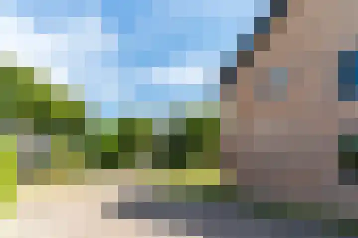 Dongenseweg 23 Rijen thumbnail 54