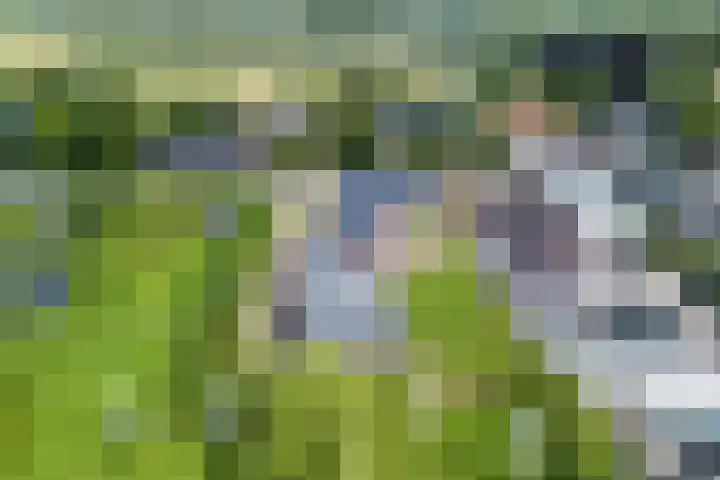 Dongenseweg 23 Rijen thumbnail 57