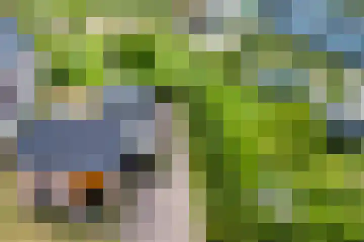 Dongenseweg 23 Rijen thumbnail 58