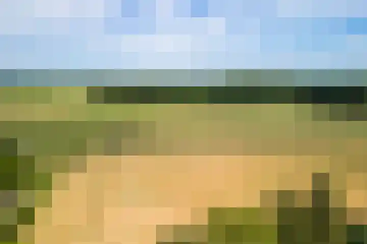 Dongenseweg 23 Rijen thumbnail 59