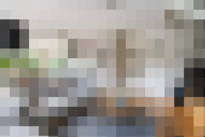 Doniapark 16 Langweer thumbnail 10