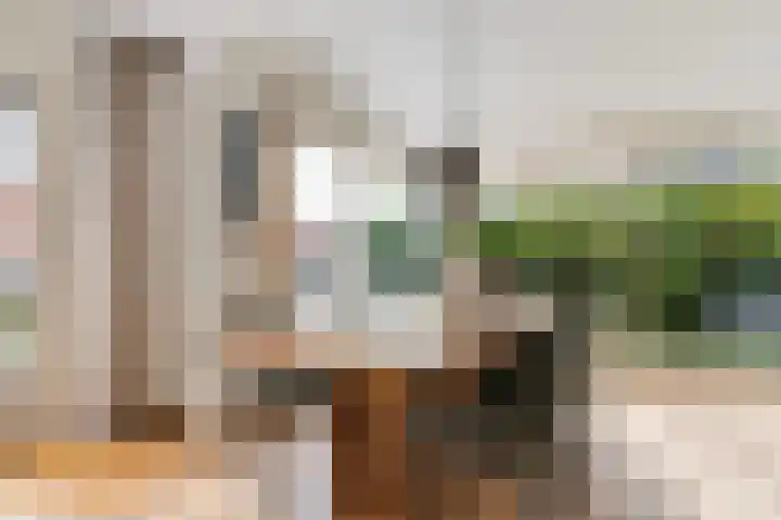 Doniapark 16 Langweer thumbnail 14