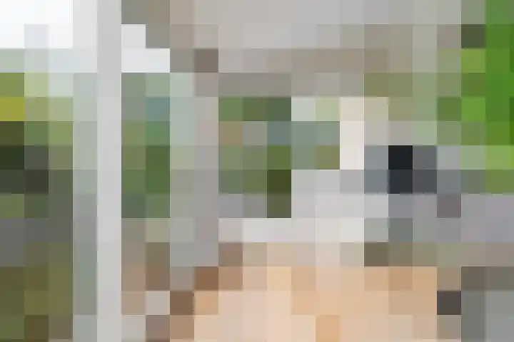 Doniapark 16 Langweer thumbnail 16