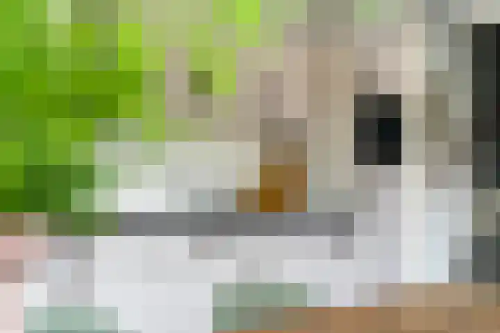 Doniapark 16 Langweer thumbnail 18