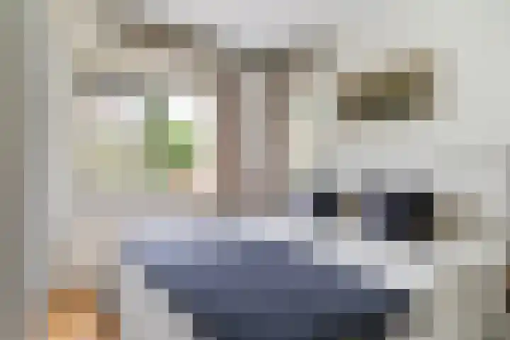 Doniapark 16 Langweer thumbnail 20