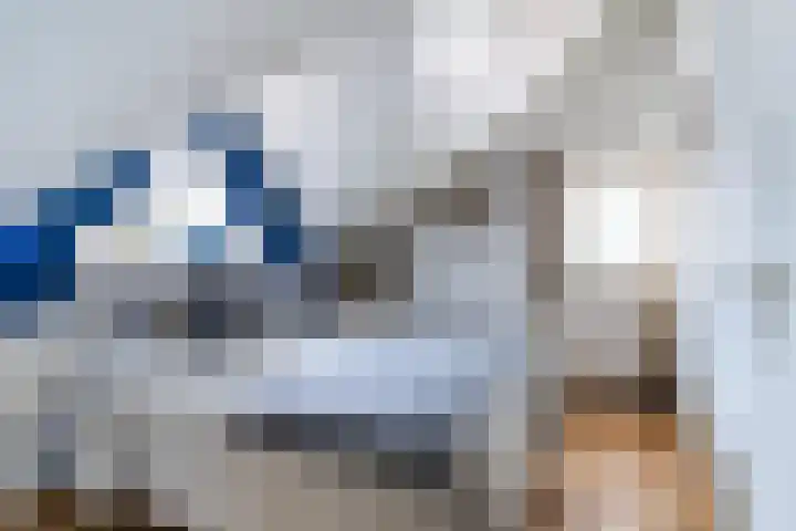 Doniapark 16 Langweer thumbnail 26