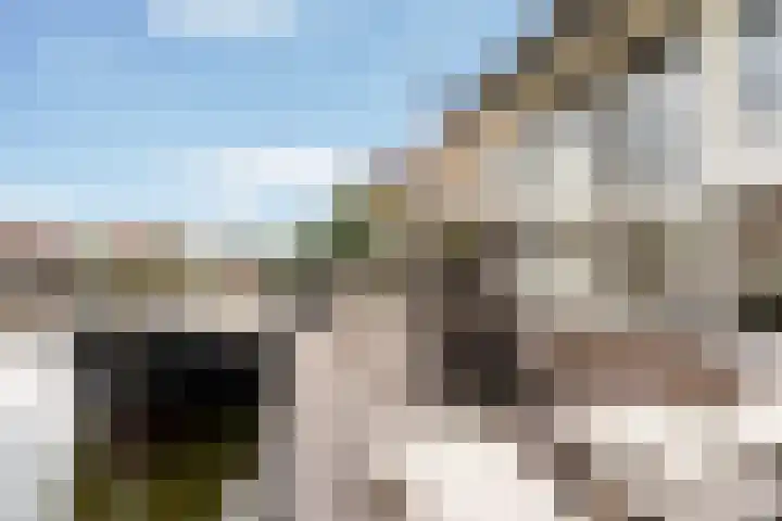 Doniapark 16 Langweer thumbnail 38