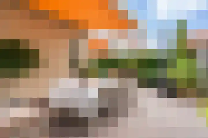 Doniapark 16 Langweer thumbnail 42